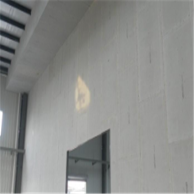 勐海宁波ALC板|EPS加气板隔墙与混凝土整浇联接的实验研讨